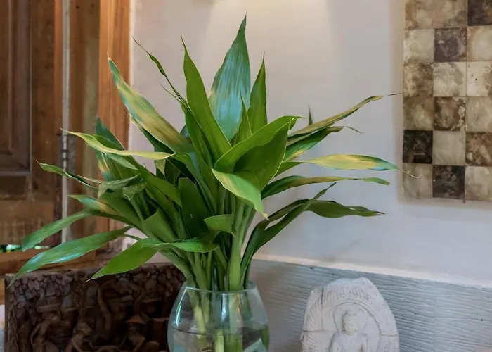 Villa Saffira Seminyak Villa *